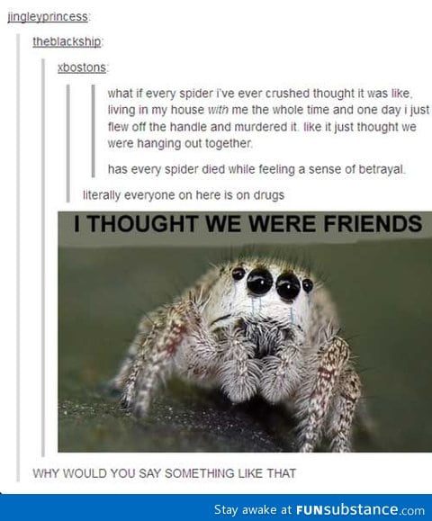 Spider best friends