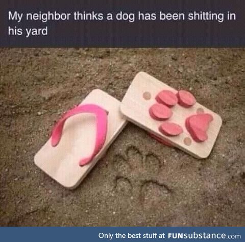 Dog shit