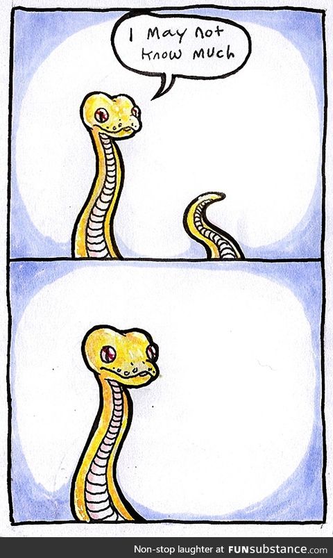 I May Not Know Much. Snek owners understand