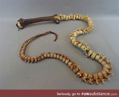 A whip made out of a spine