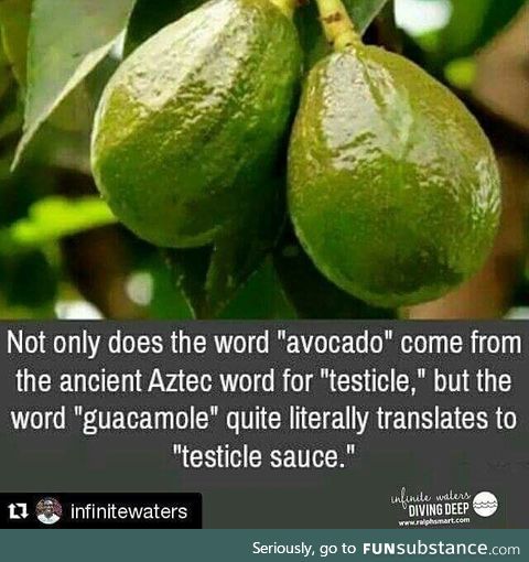 Avocado means testicles