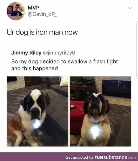 Iron dog