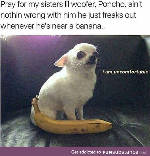 Can't use banana for scale with him