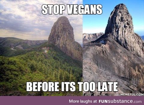 Damn you vegans!