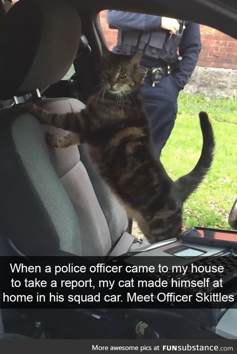 Search me officer