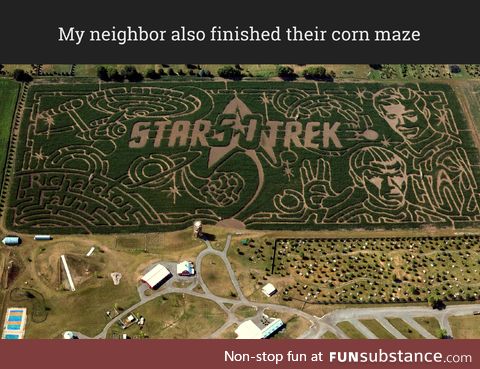 Epic corn maze