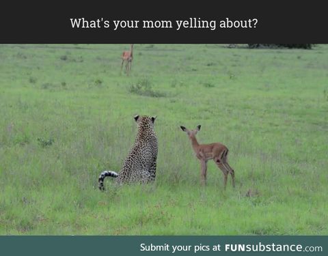 What's your mom yelling about?