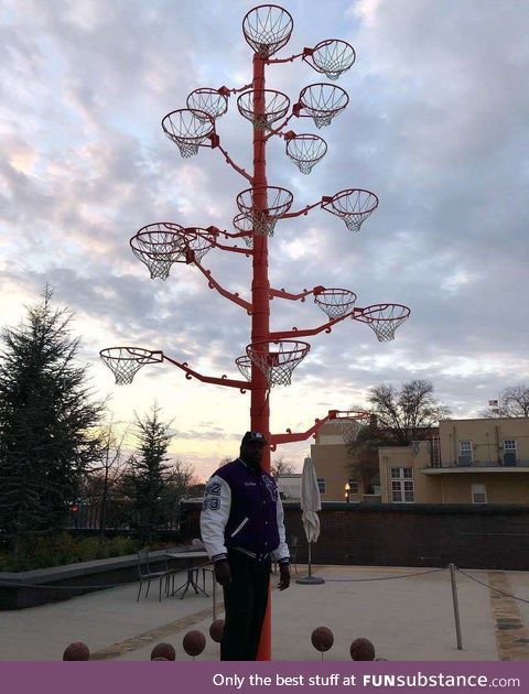 Shaquille O'Neal mad a tree out of all the backboards he broke in his career