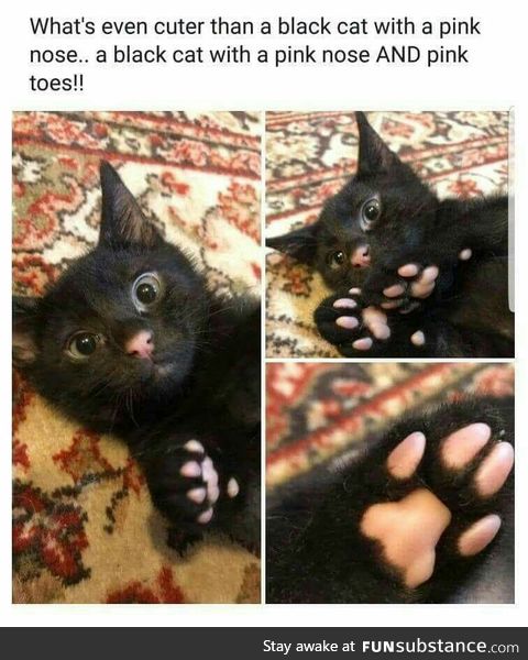 Toe beans