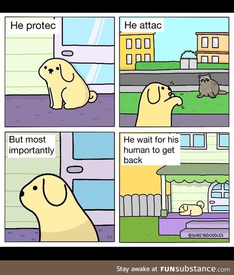 He also bark