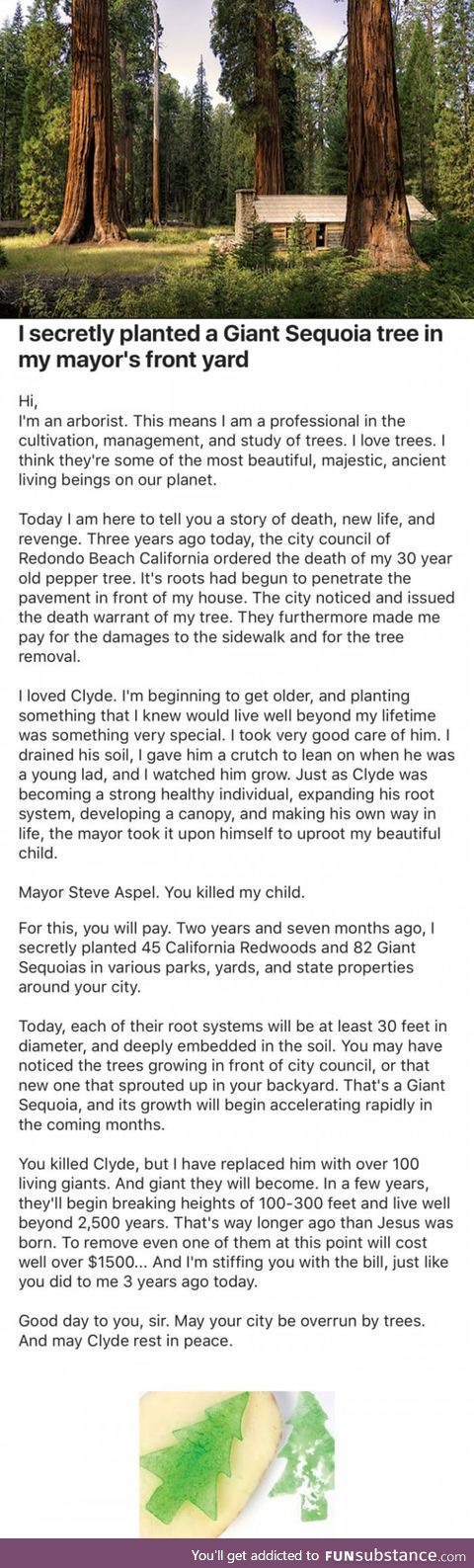 Mayor Cuts Down Man's 30-Year-Old Tree, He Revenges Him In The Best Possible Way