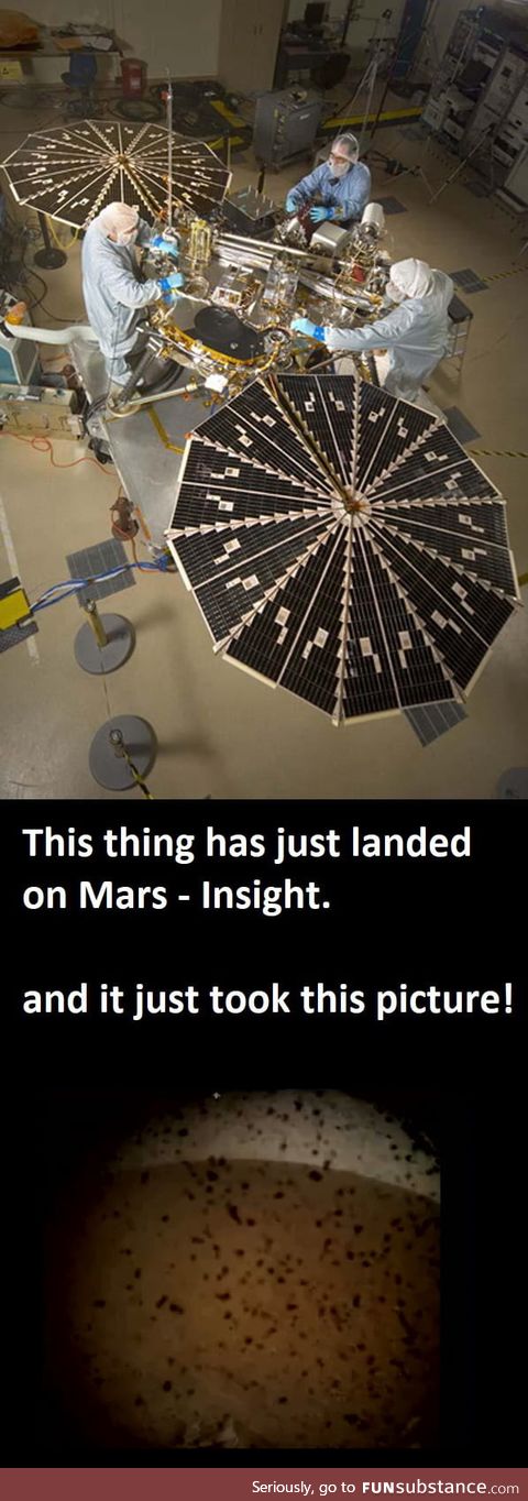 Congrats to NASA! Insight just landed on Mars!