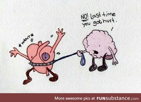 Difficult relationship between the heart and the brain