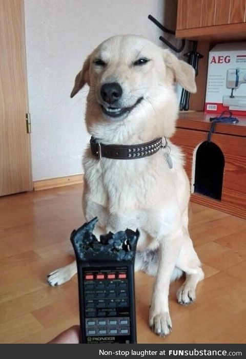 He's not even remotely sorry