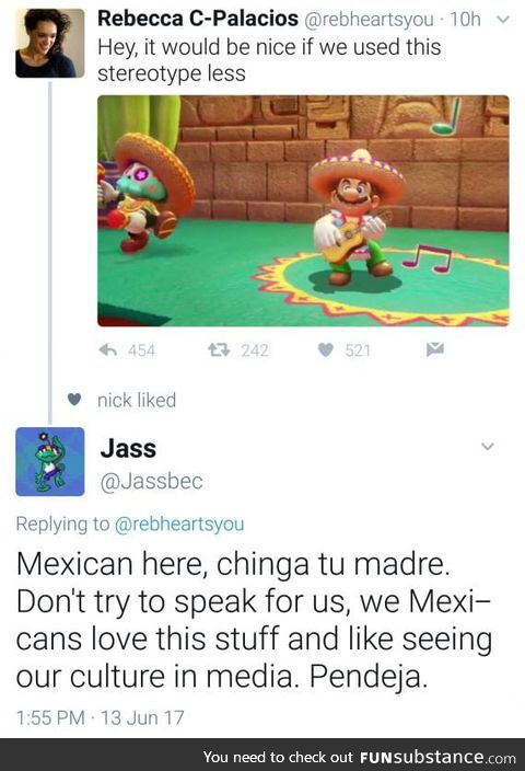 From "Look, it's a Mexican mario, that's hilarious and adorable!" to
