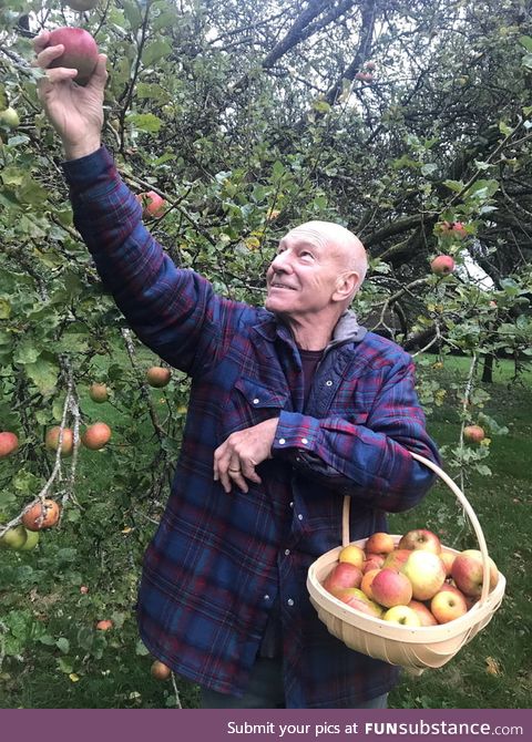Patrick Stewart apple picking
