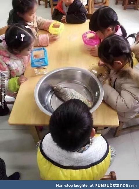 The school asked each child to bring a fish