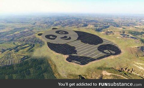 Panda-shaped solar farm in China