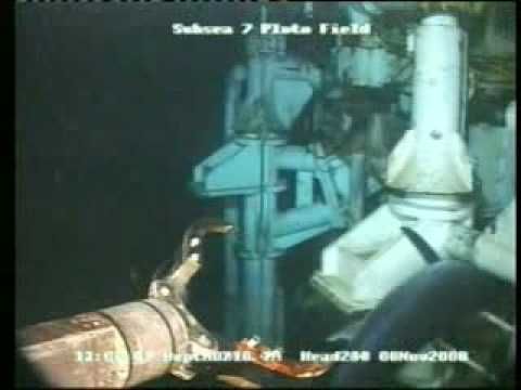 Swordfish stuck in an offshore oil rig gets removed by an ROV