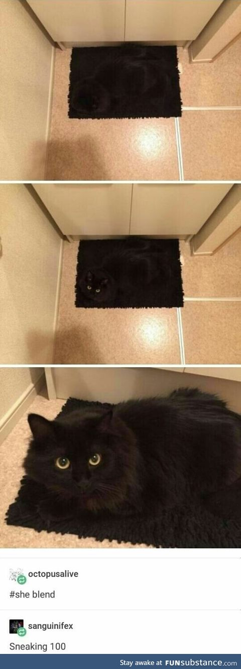 Just a mat with eyes