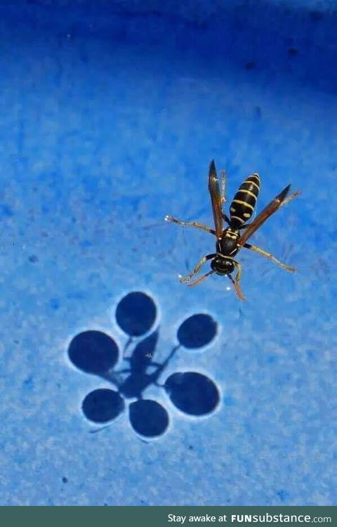 Surface tension
