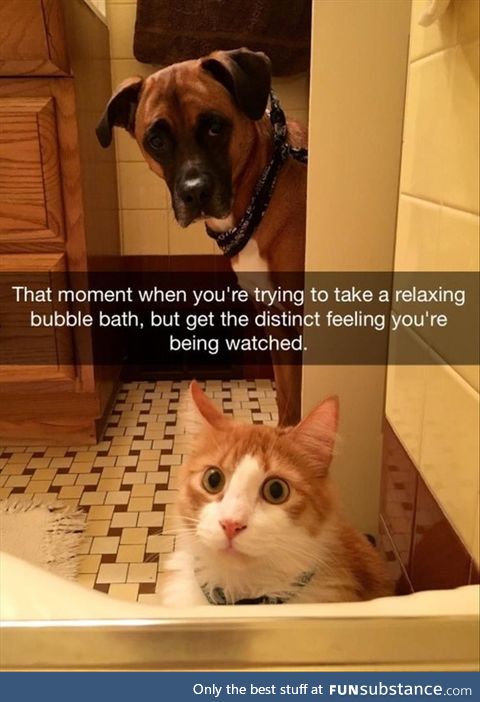 Τhey look concerned