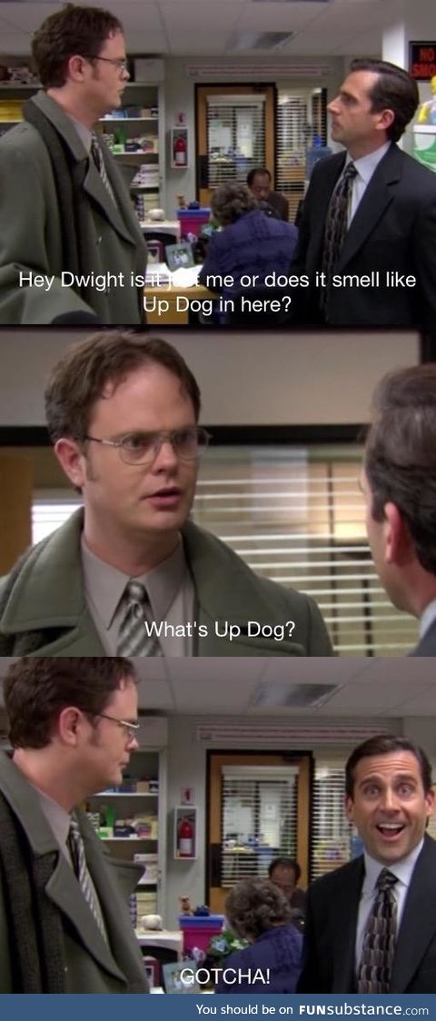 What's up dog?