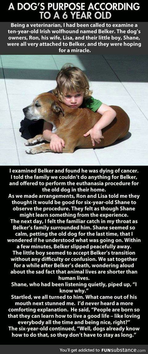 A Dog’s Purpose According To A Little Kid