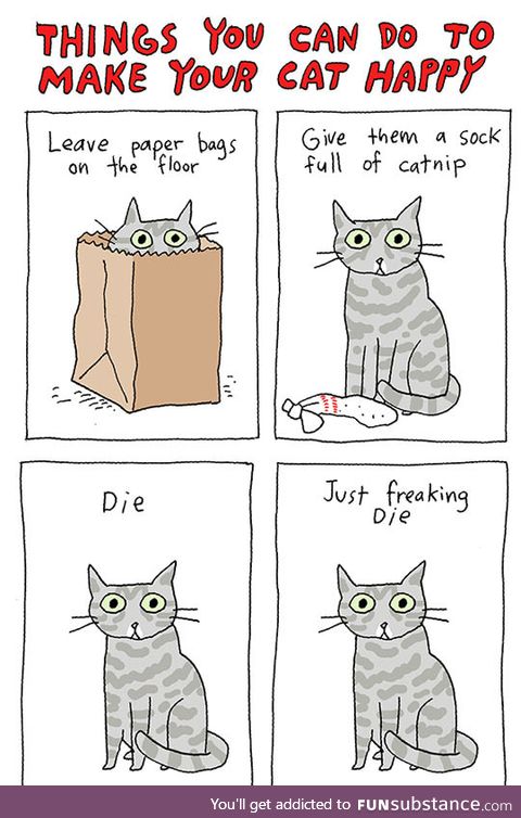 Things you can do to make your cat happy