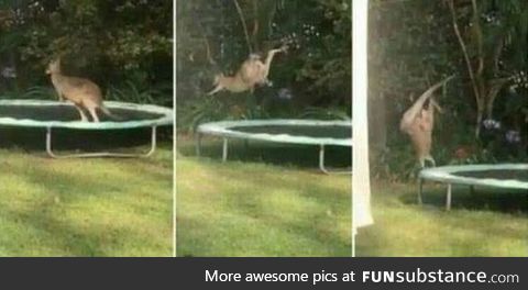 Pretty sure this was his first time on a trampoline
