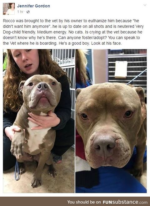 Anyone in NJ that can help this good boy?