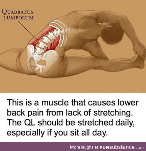 Stretchity stretch
