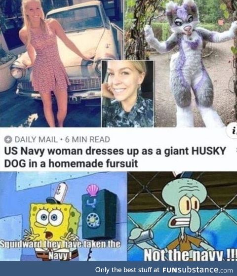 Damn furries.