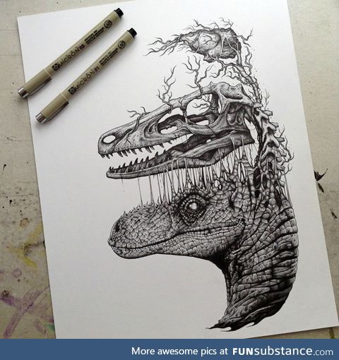 Raptor skull and brain drawing
