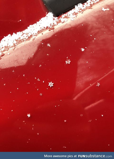 This perfect snowflake on my wife's car