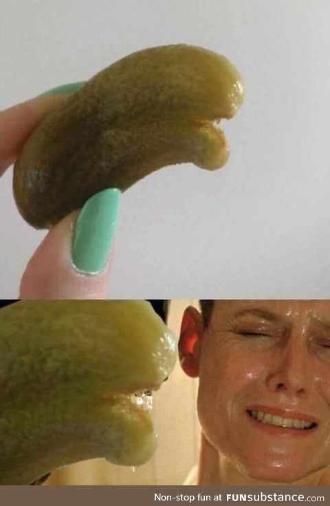 Pickle alien