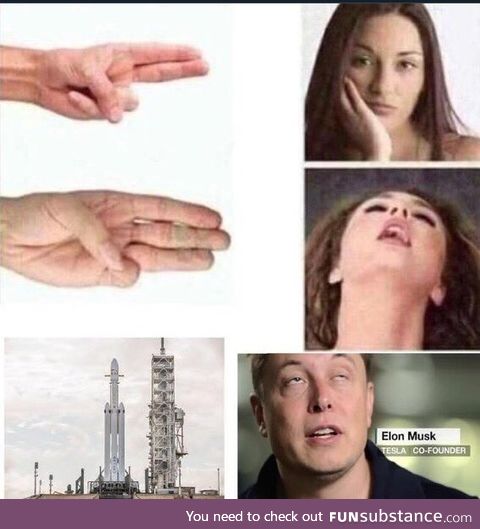 Elon Busts