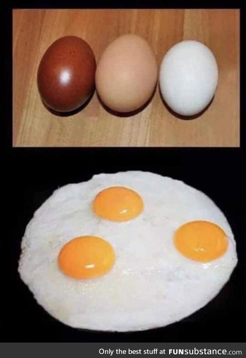 Racism for dummies