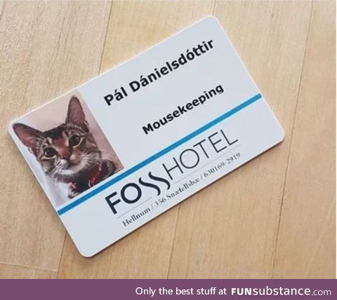 An employee of the year