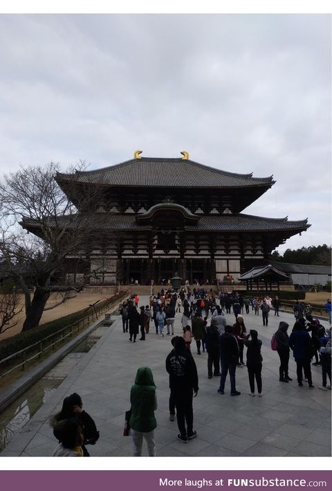 Day 3 of Japan: Nara