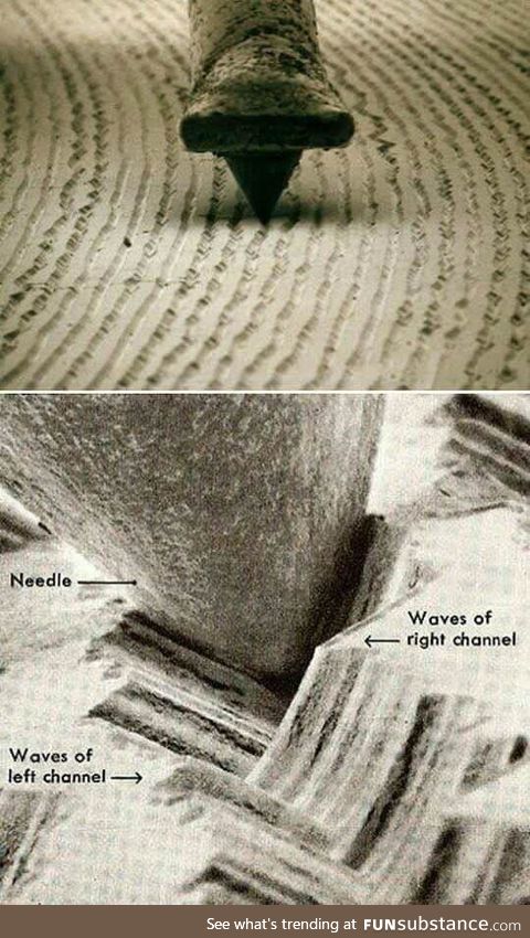 Vinyl Magnified 1000x