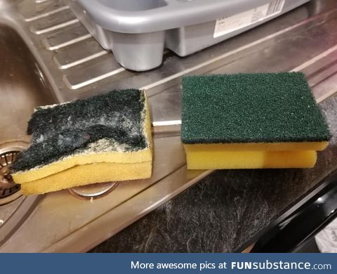 There's no better feeling than replacing a dirty sponge