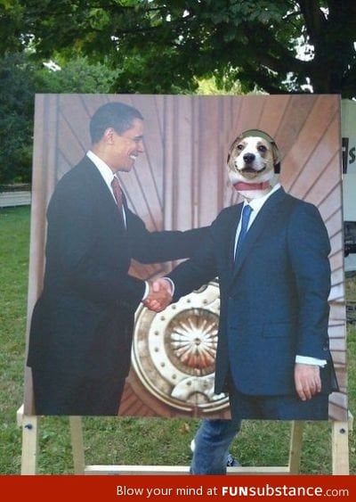 Pleased to meet you mr president I am dog