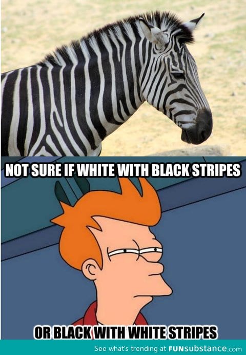 Zebras are confusing