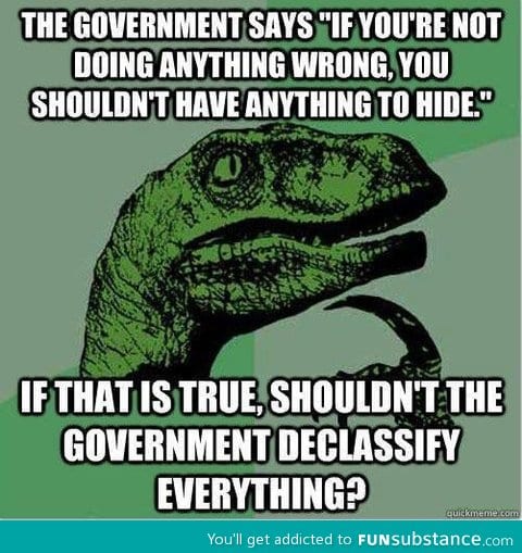 Flawless logic to use on the NSA