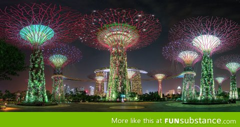 Gardens by the Bay, Singapore