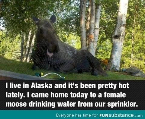 When it gets hot in alaska