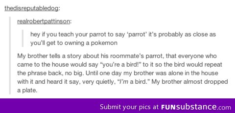 Parrots