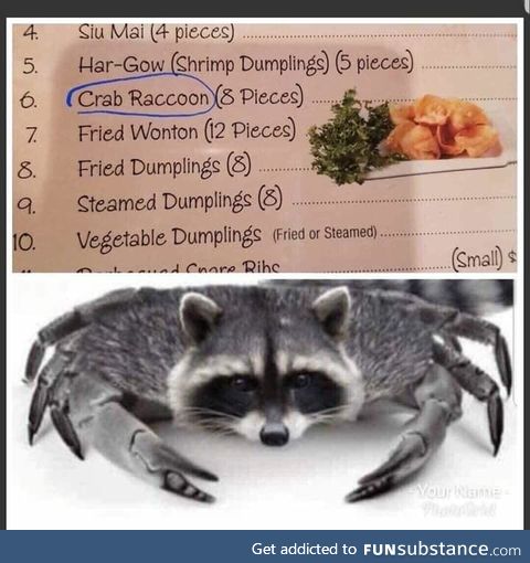 Crab raccoon