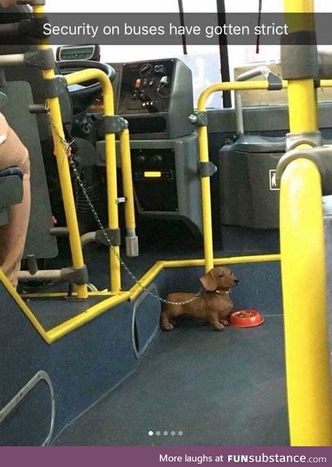 Show me your ticket, please